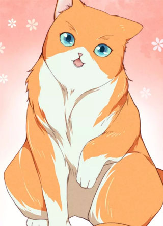 如何让你的橘猫减肥 截图2