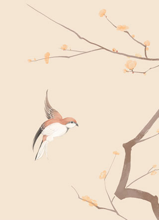 月灯禅 截图0