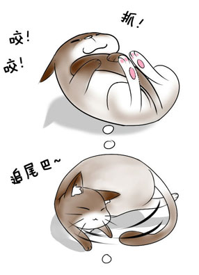 喵的智障 截图0