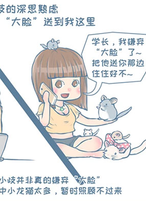 我家有只小龙猫 截图0