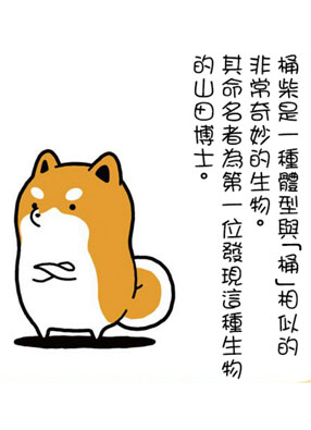 桶柴 截图2