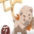 关于小熊 