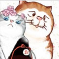 喵星三脚猫