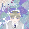 N·S