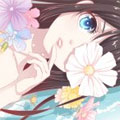 归海花