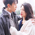 狐狸小姐与猫先生