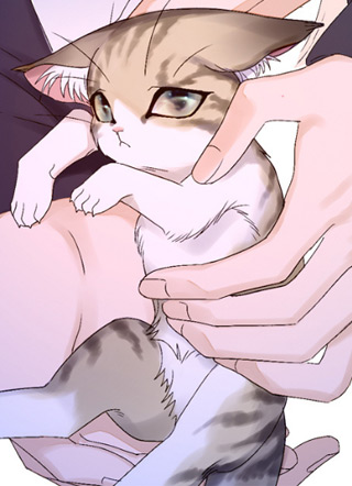 猫栖我屋 截图2