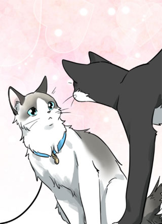 百合猫粮 截图0