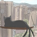 猫瞳