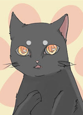 猫瞳 截图0