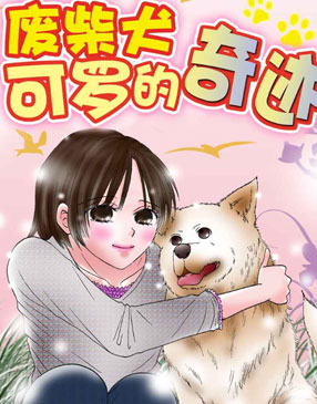 废柴犬可罗的奇迹 截图0
