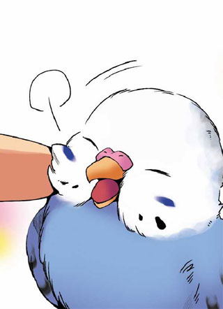 小鹦鹉饲养日记 截图0