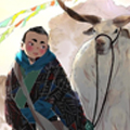少年登巴—雪山 草地 美丽传说