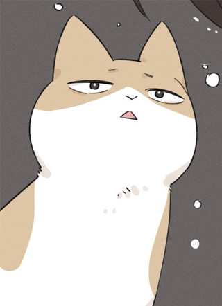宠物猫 截图2