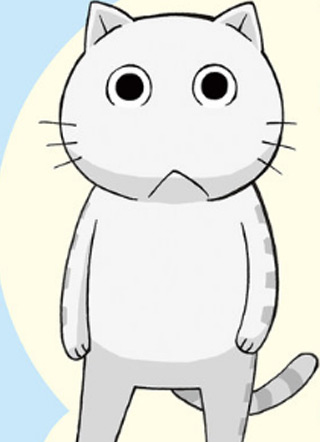 我家的街猫 截图2