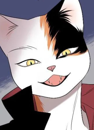 猫的abo 截图1
