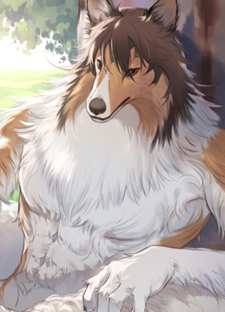 狼和牧羊犬 截图2