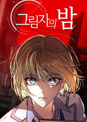 影子的夜