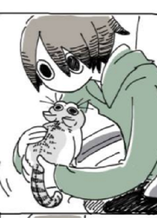 关于养猫我一直是新手 截图0