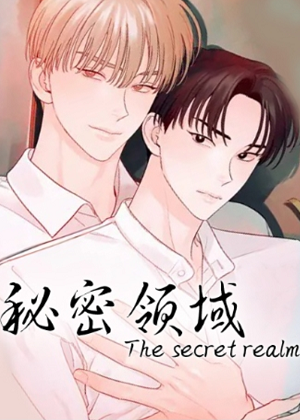 秘密领域
