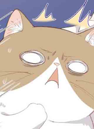 小若猫猫 截图0