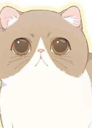 小若猫猫 截图1