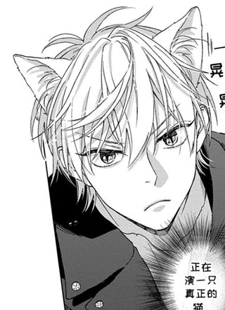 租赁猫猫 截图0