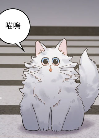 我独一无二的猫咪 截图1