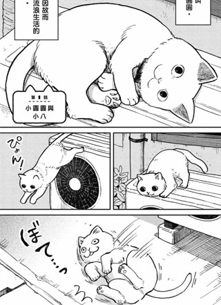 猫咪好伙伴小圆圆和小八 截图0