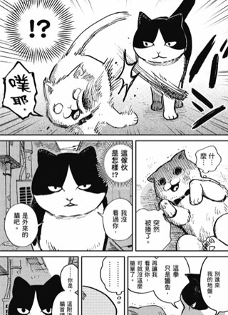 猫咪好伙伴小圆圆和小八 截图2