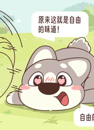 小熊猫与哈士奇 截图2