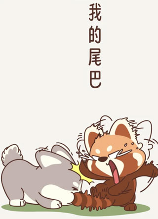 小熊猫与哈士奇 截图1