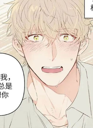 宠物恋人 截图0