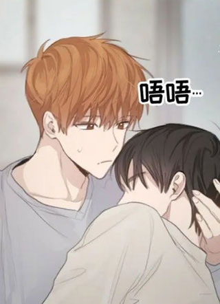 穿书后成为了男配 截图1