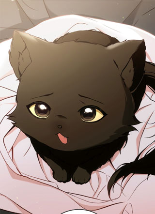 猫咪疗法 截图0