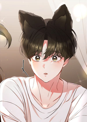 猫咪疗法