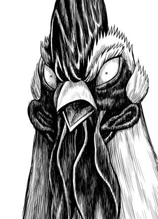 公鸡斗士 截图1