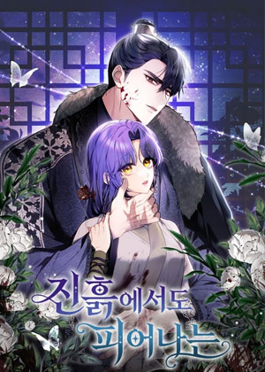 即使落入泥泞也会绽放