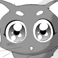朋友是猫