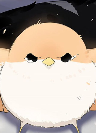 黑雁和麻雀 截图2