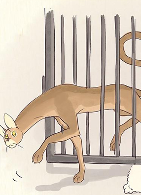 一滩猫与一根猫 截图2