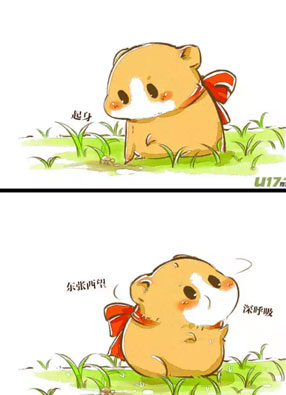 徐芝麻 截图2
