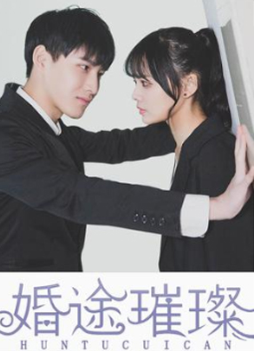 婚途璀璨 截图0