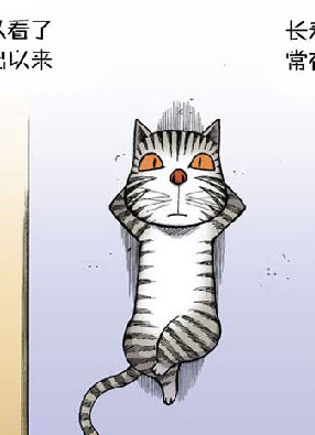 动物园真相 截图0