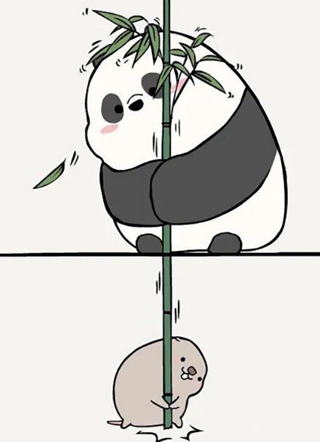 竹鼠和竹熊 截图1