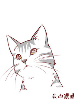 我的小猫和老狗 截图2