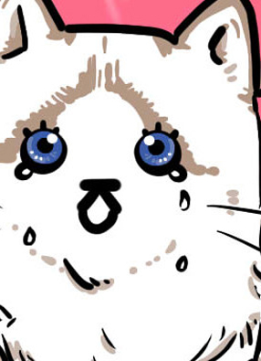 猫别说 截图2